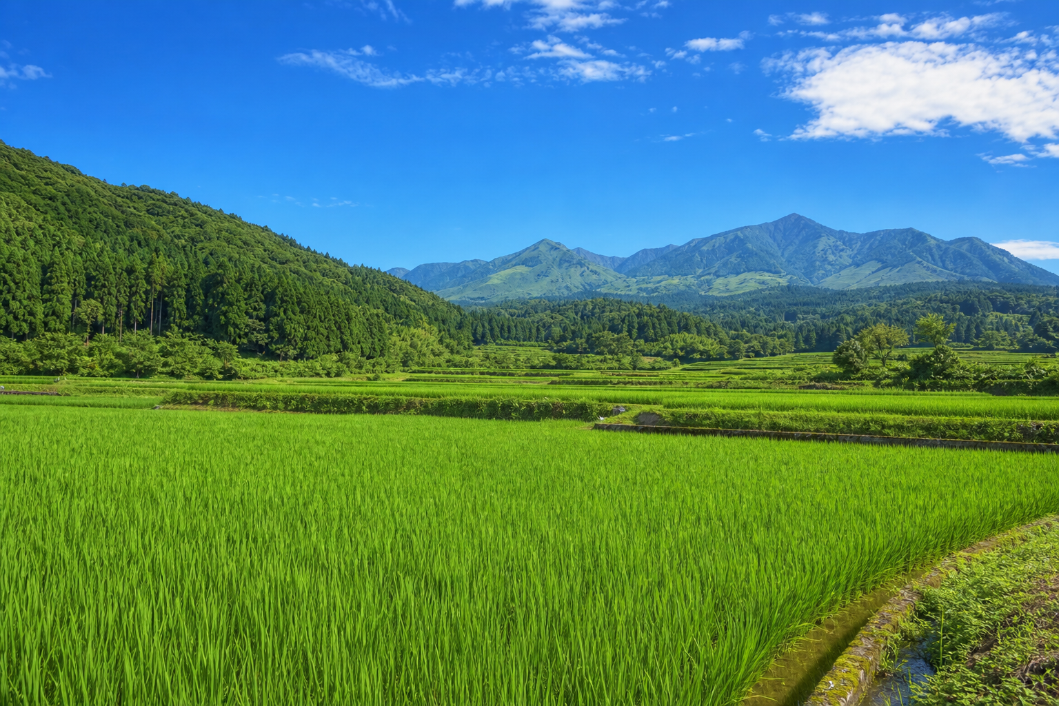 九州の緑の田園と青空の山並み（実写）